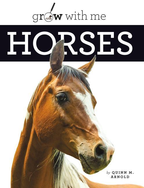 Vorderes Coverbild Horses