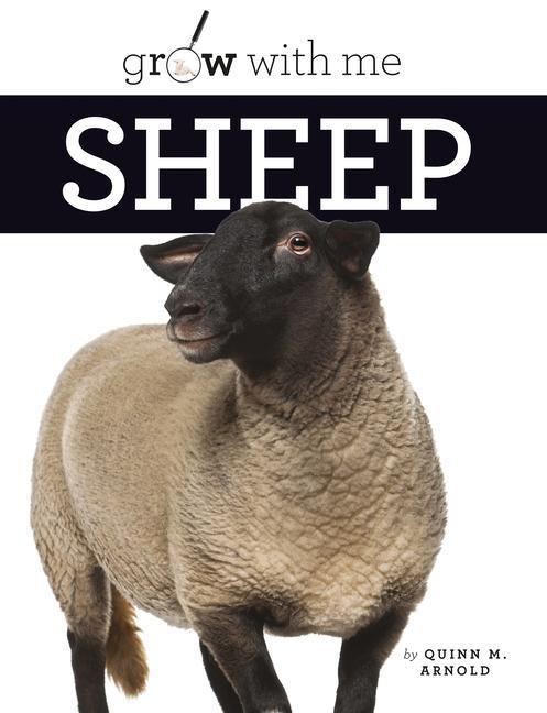 Vorderes Coverbild Sheep
