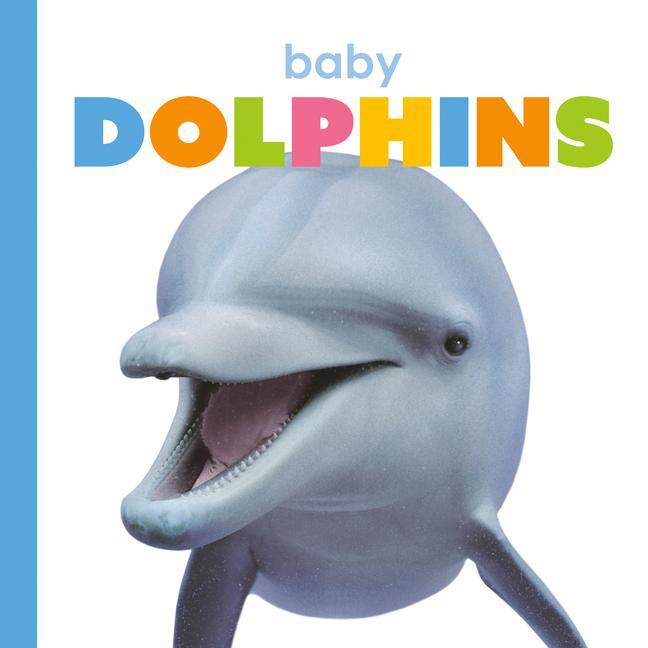 Vorderes Coverbild Baby Dolphins