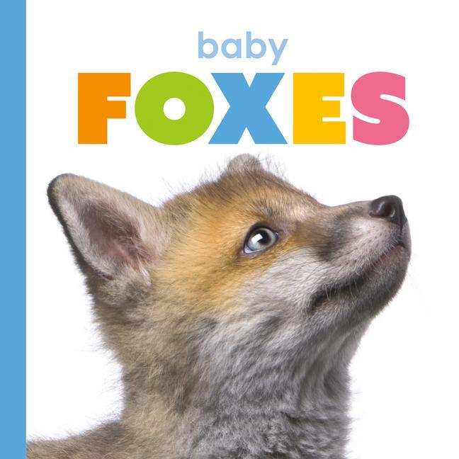 Vorderes Coverbild Baby Foxes