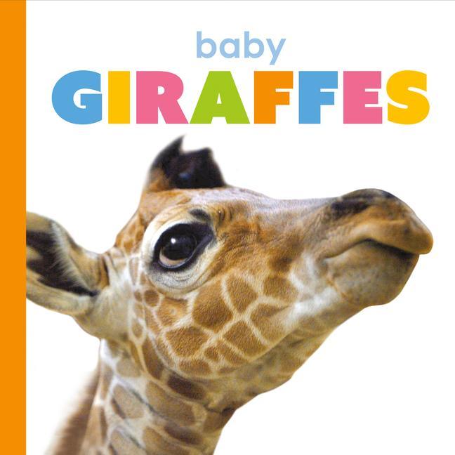 Vorderes Coverbild Baby Giraffes