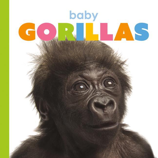 Vorderes Coverbild Baby Gorillas