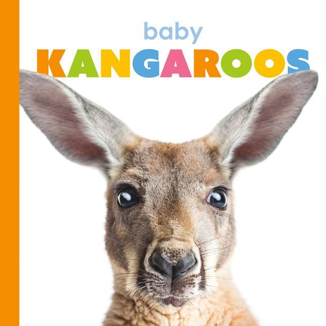 Vorderes Coverbild Baby Kangaroos