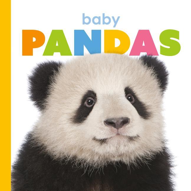 Vorderes Coverbild Baby Pandas