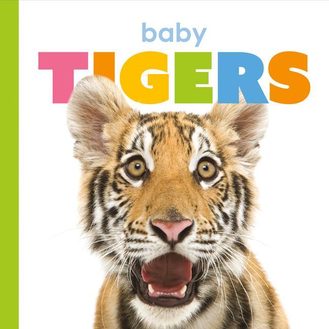Vorderes Coverbild Baby Tigers