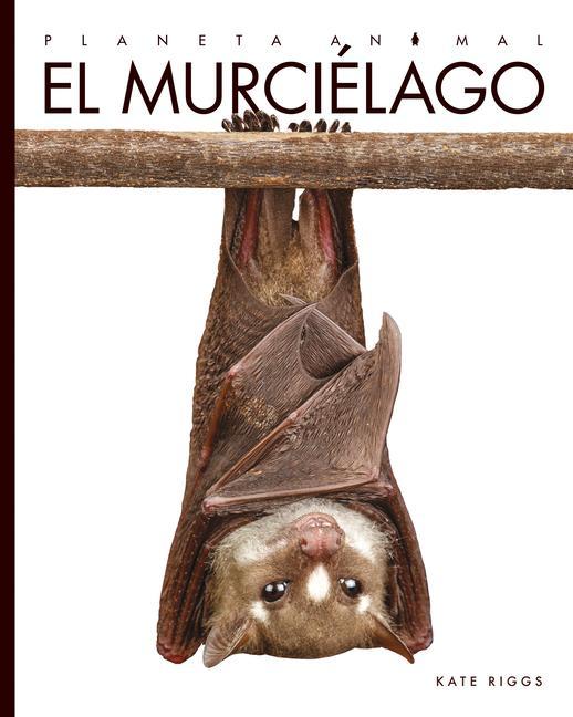 Vorderes Coverbild El Murciélago