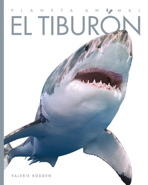 Vorderes Coverbild El Tiburón