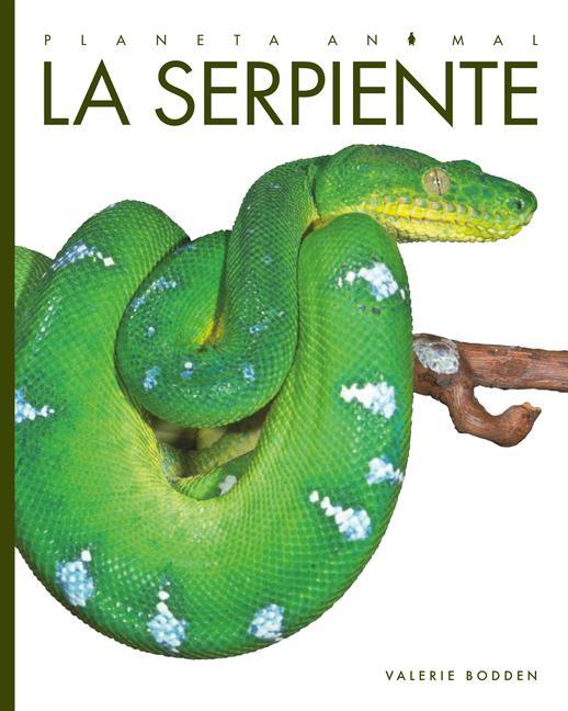 Vorderes Coverbild La Serpiente