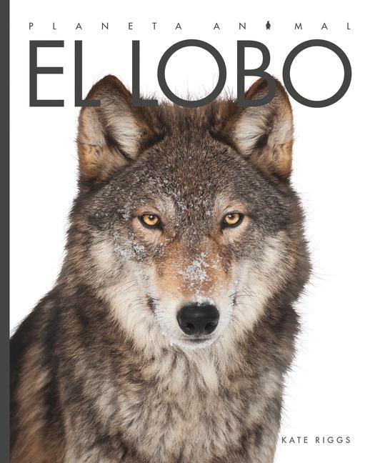 Vorderes Coverbild El Lobo