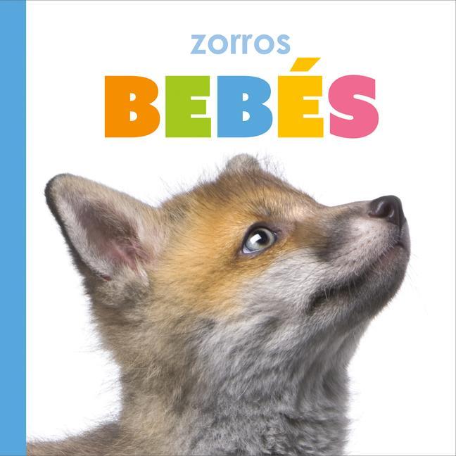 Vorderes Coverbild Zorros Bebés