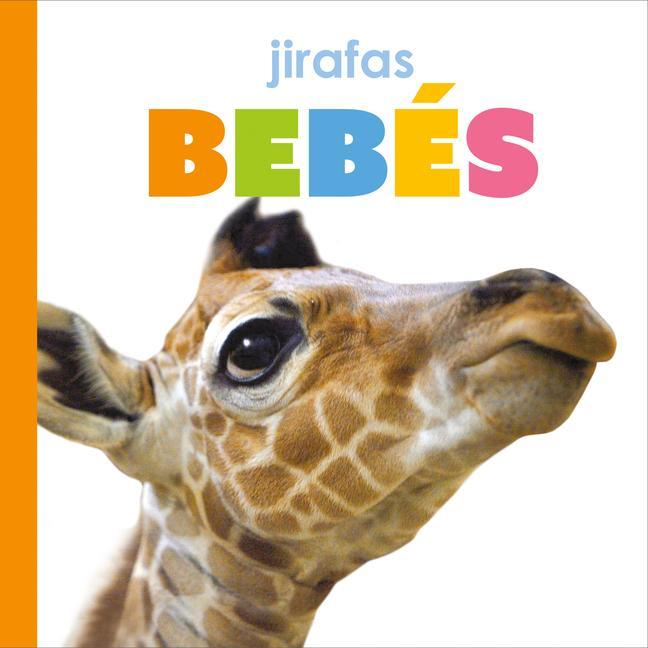 Vorderes Coverbild Jirafas Bebés