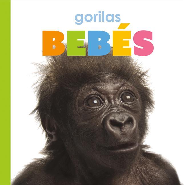 Vorderes Coverbild Gorilas Bebés