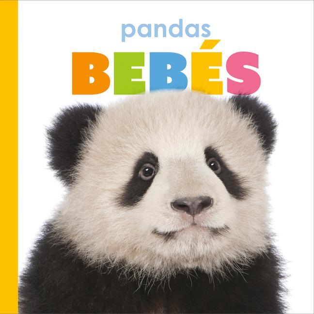 Vorderes Coverbild Pandas Bebés
