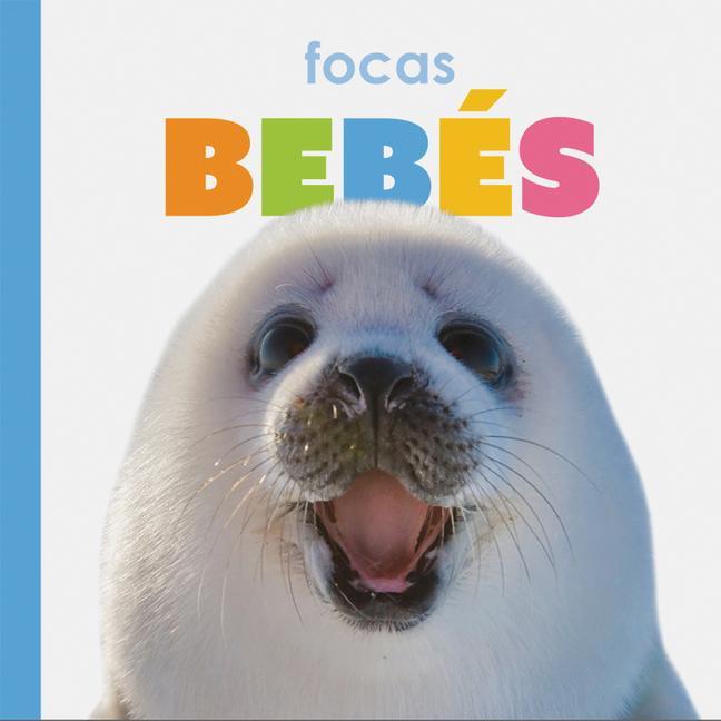Vorderes Coverbild Focas Bebés