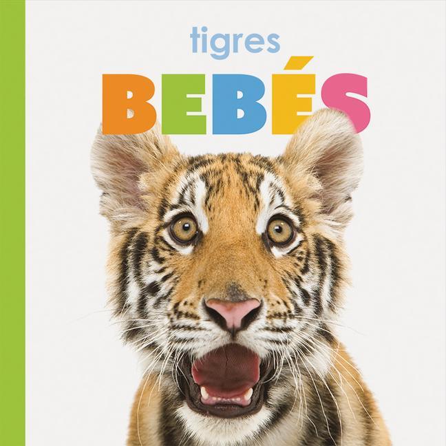 Vorderes Coverbild Tigres Bebés