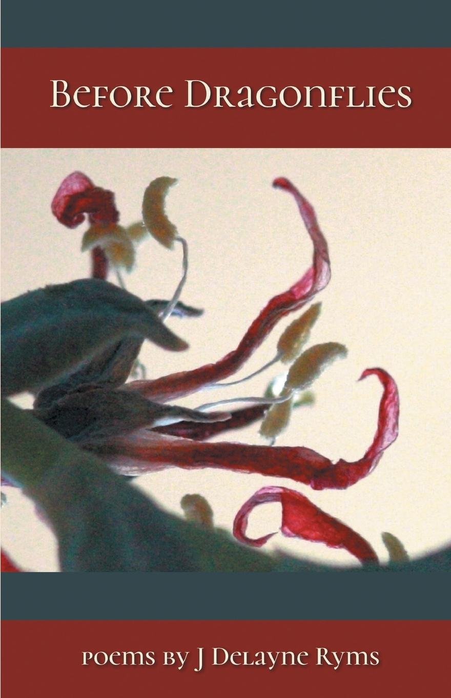 Vorderes Coverbild BEFORE DRAGONFLIES