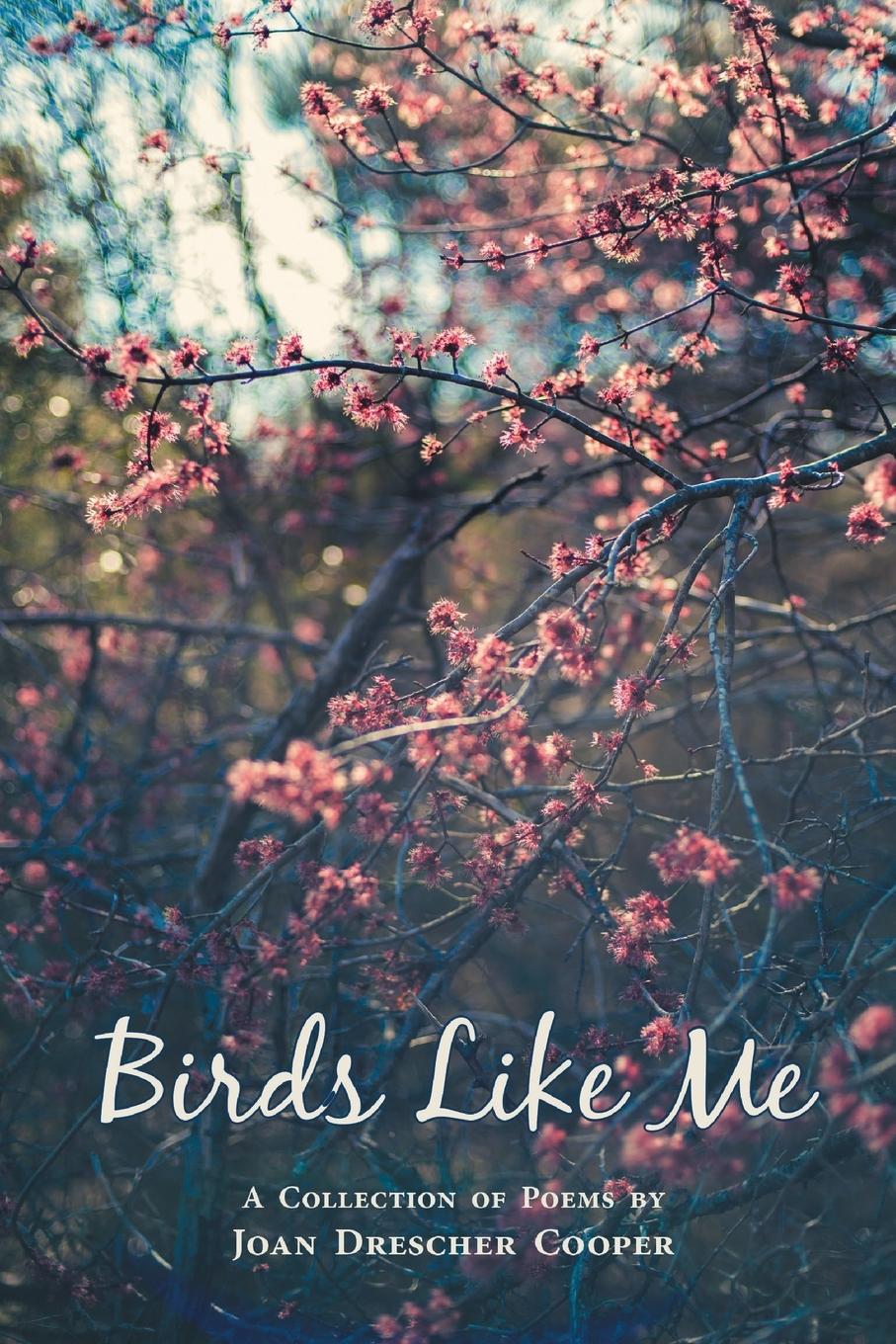 Vorderes Coverbild Birds Like Me