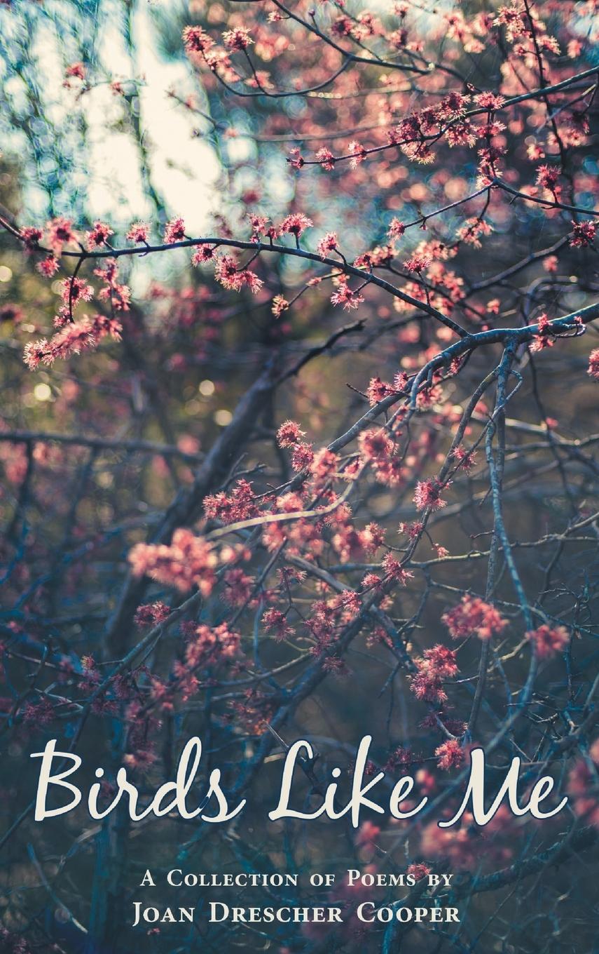 Vorderes Coverbild Birds Like Me