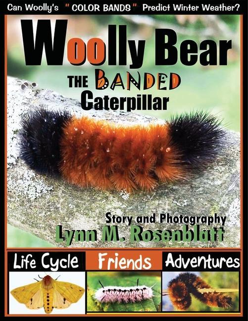 Vorderes Coverbild Woolly Bear the Banded Caterpillar: Life Cycle, Friends and Adventures