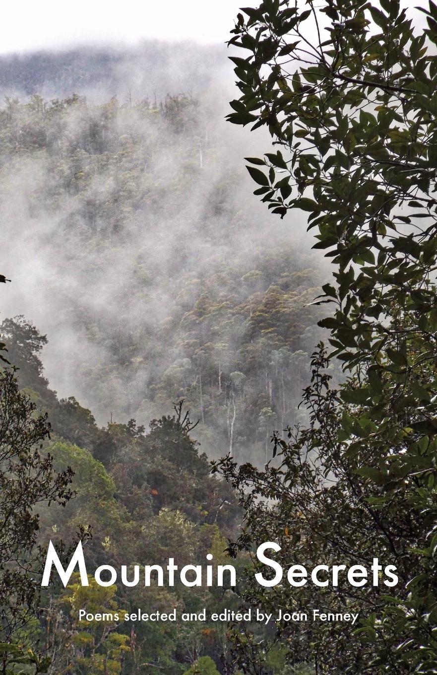 Vorderes Coverbild Mountain Secrets