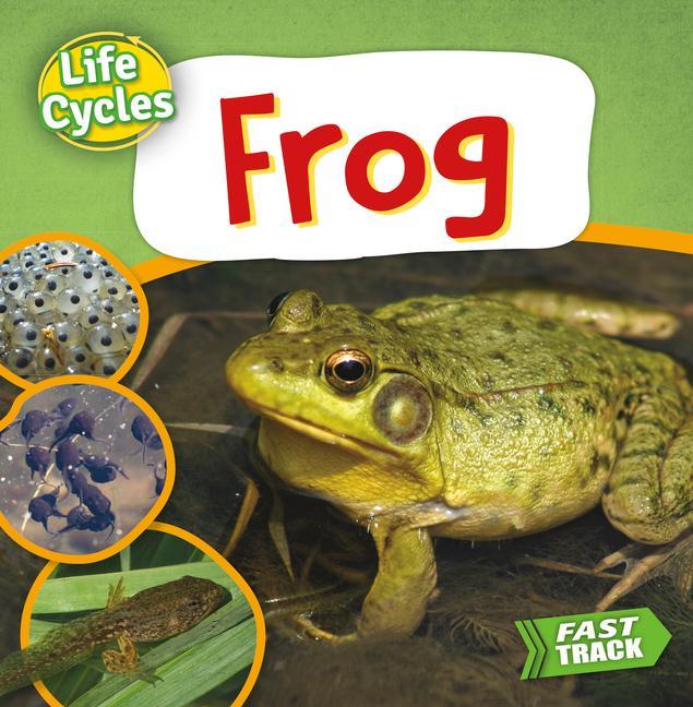 Vorderes Coverbild Frog
