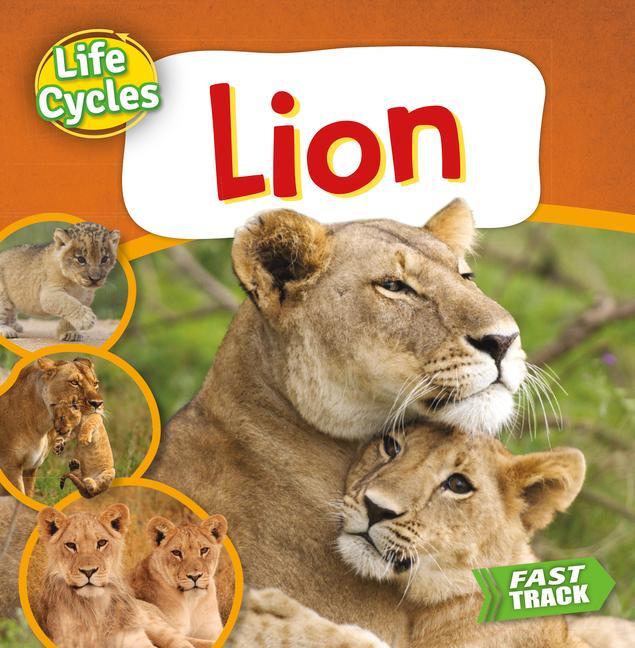 Vorderes Coverbild Lion