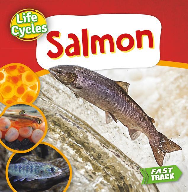 Vorderes Coverbild Salmon