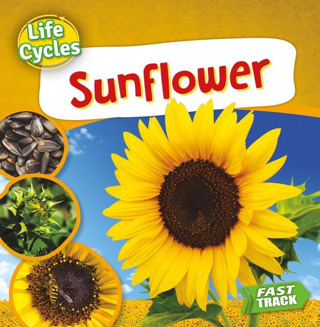 Vorderes Coverbild Sunflower