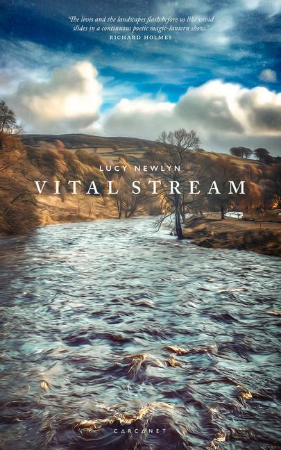 Vorderes Coverbild Vital Stream