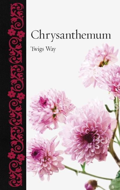 Vorderes Coverbild Chrysanthemum