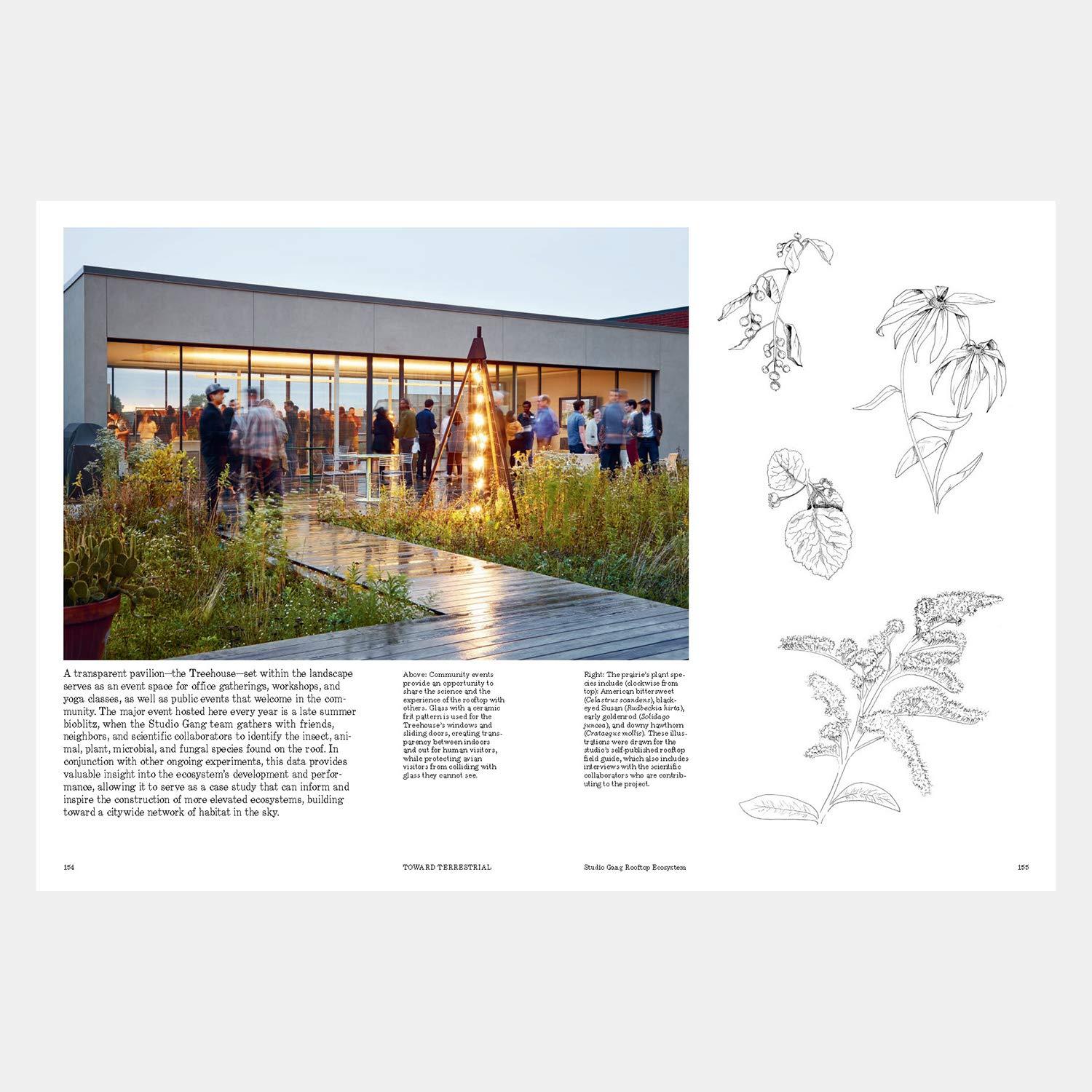 Beispielinhalt (Bild) Studio Gang