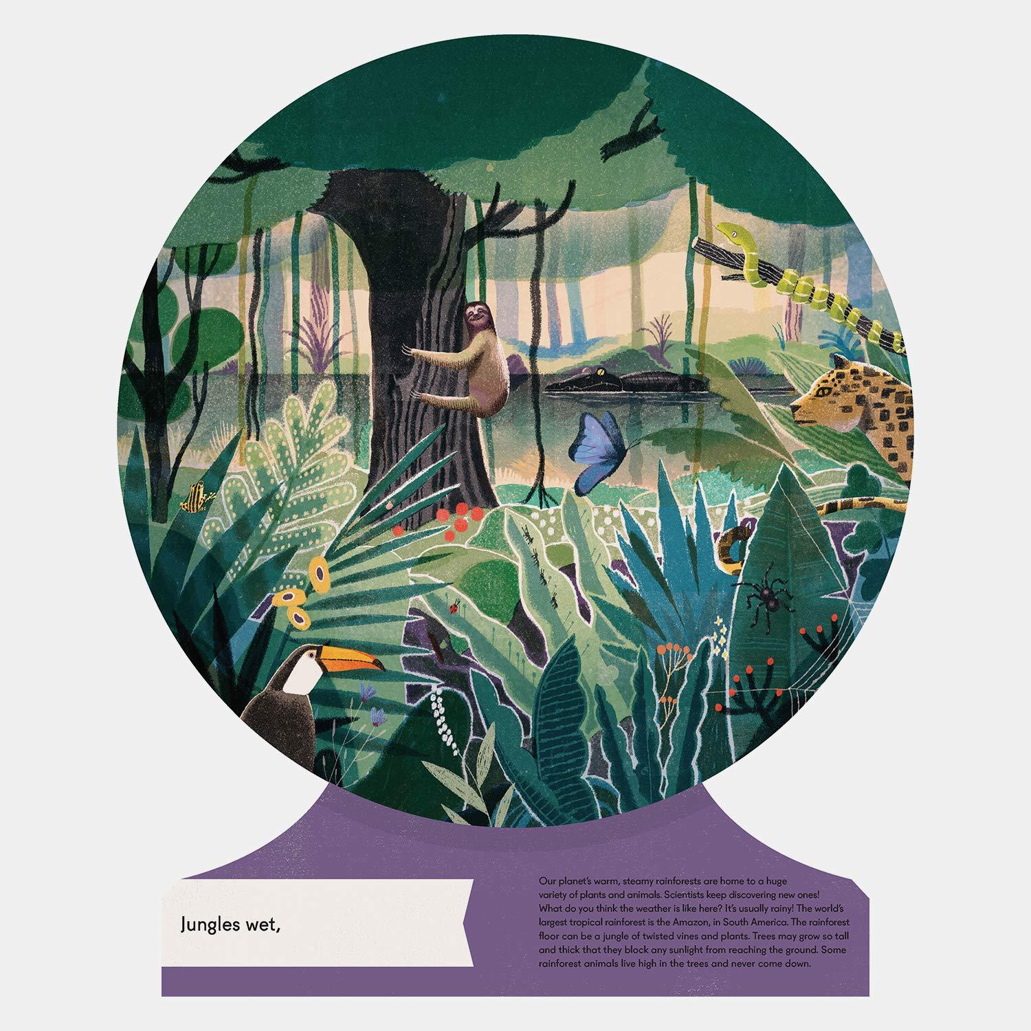 Beispielinhalt (Bild) Our World