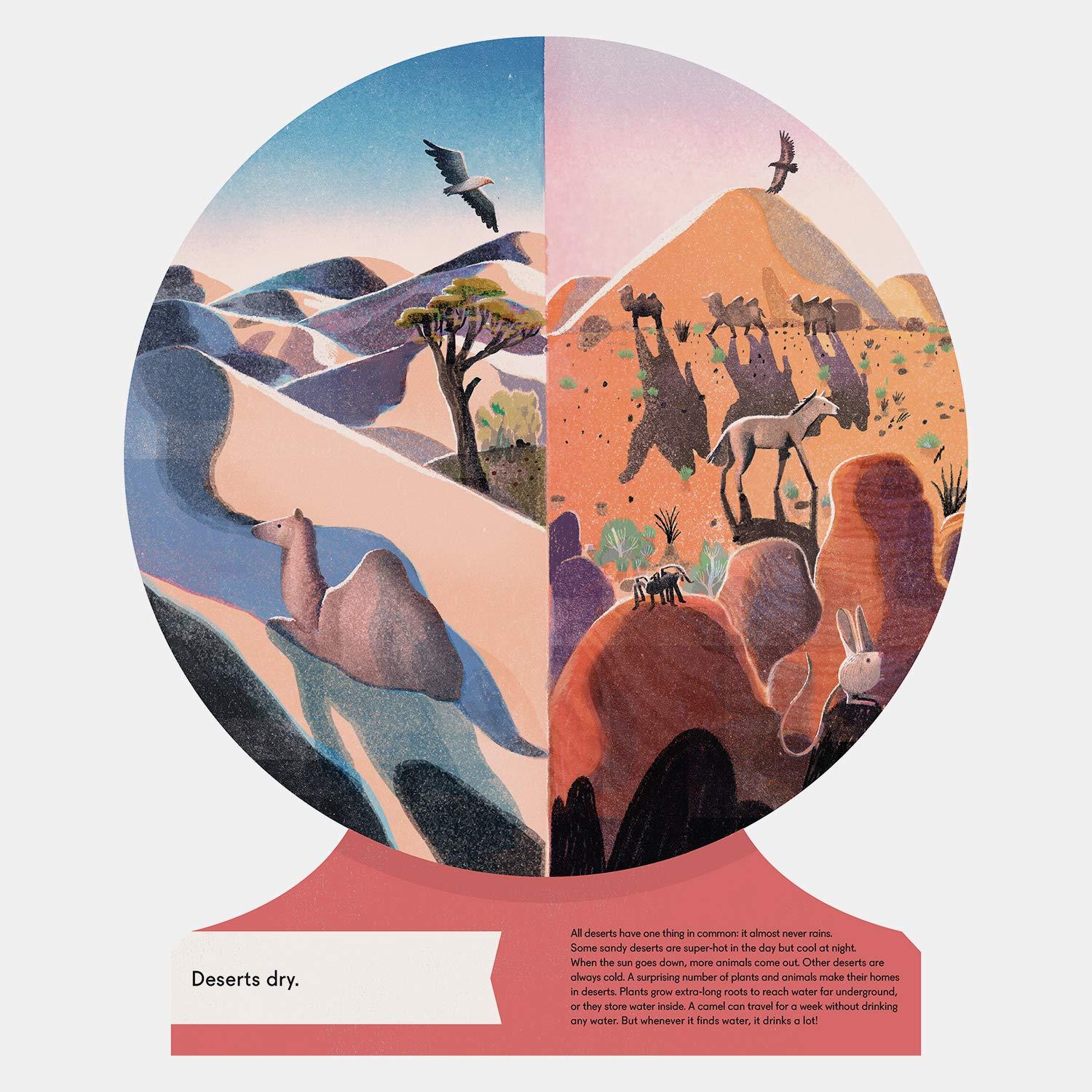 Beispielinhalt (Bild) Our World