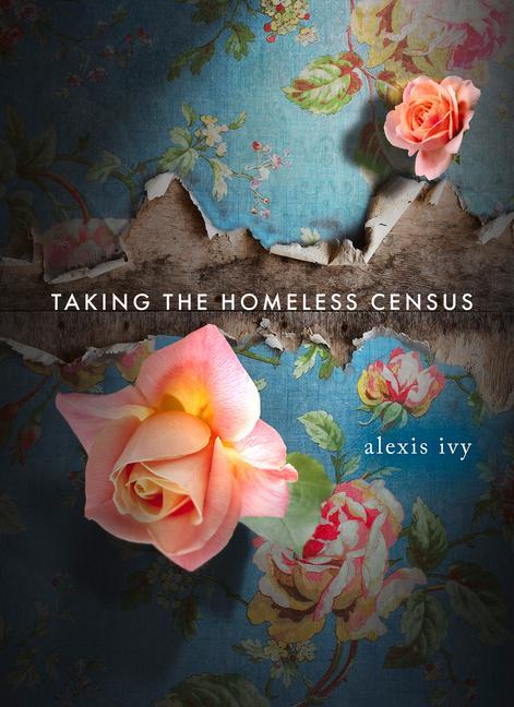 Vorderes Coverbild Taking the Homeless Census