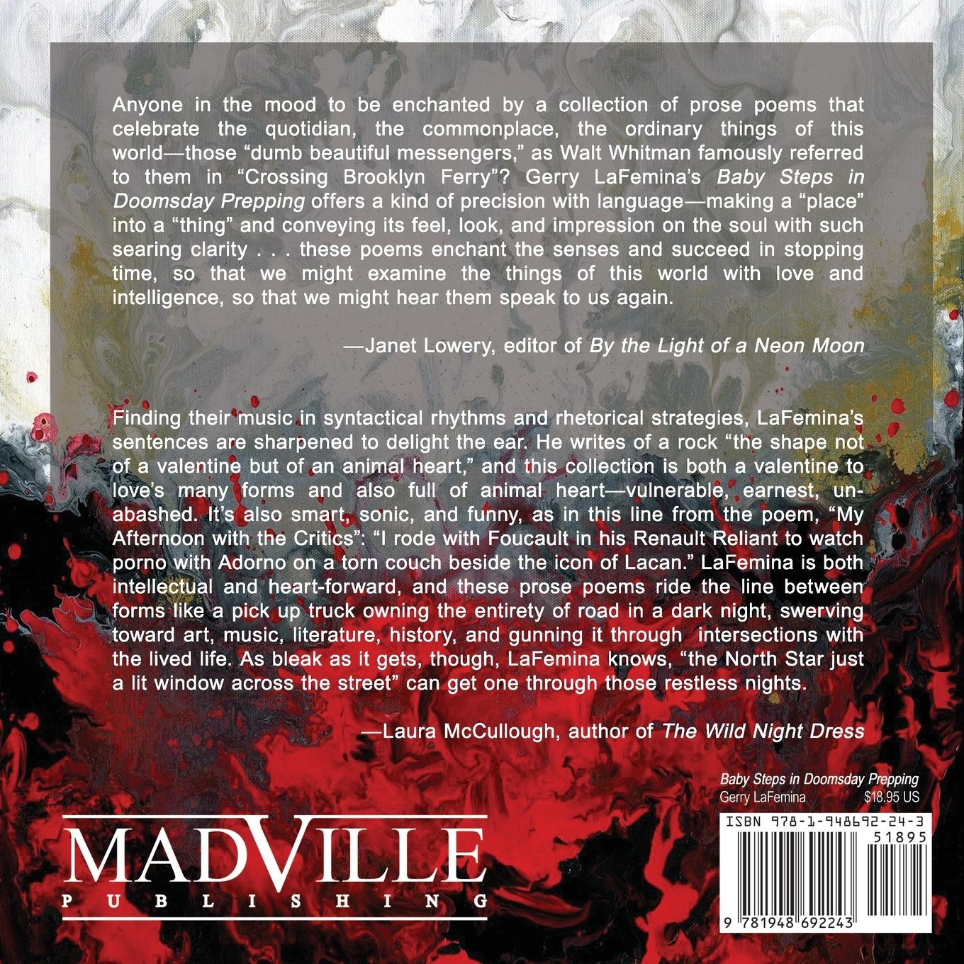 Rückseitencover Baby Steps in Doomsday Prepping