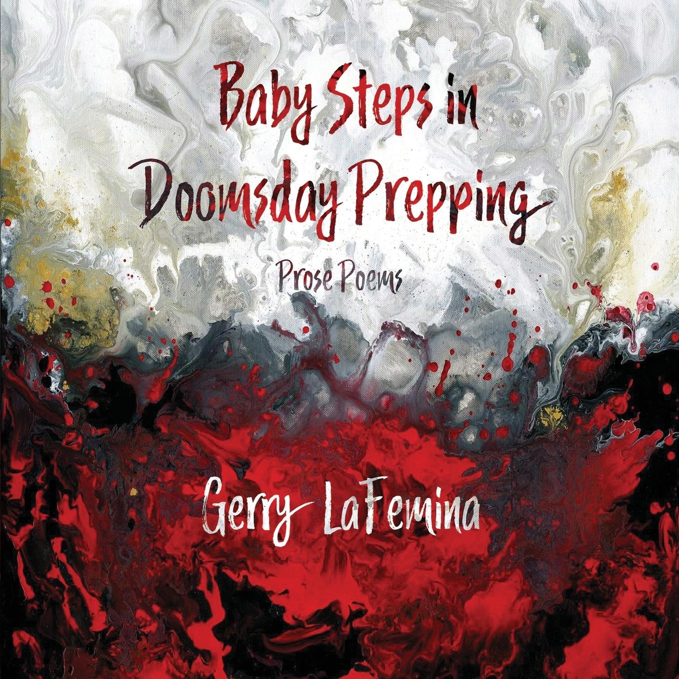 Vorderes Coverbild Baby Steps in Doomsday Prepping