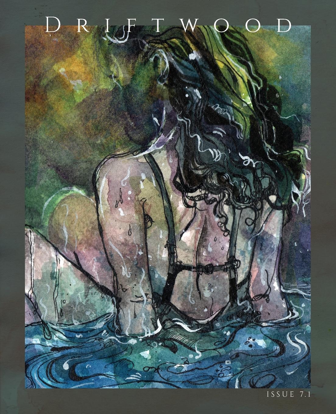 Vorderes Coverbild Driftwood Press 7.1