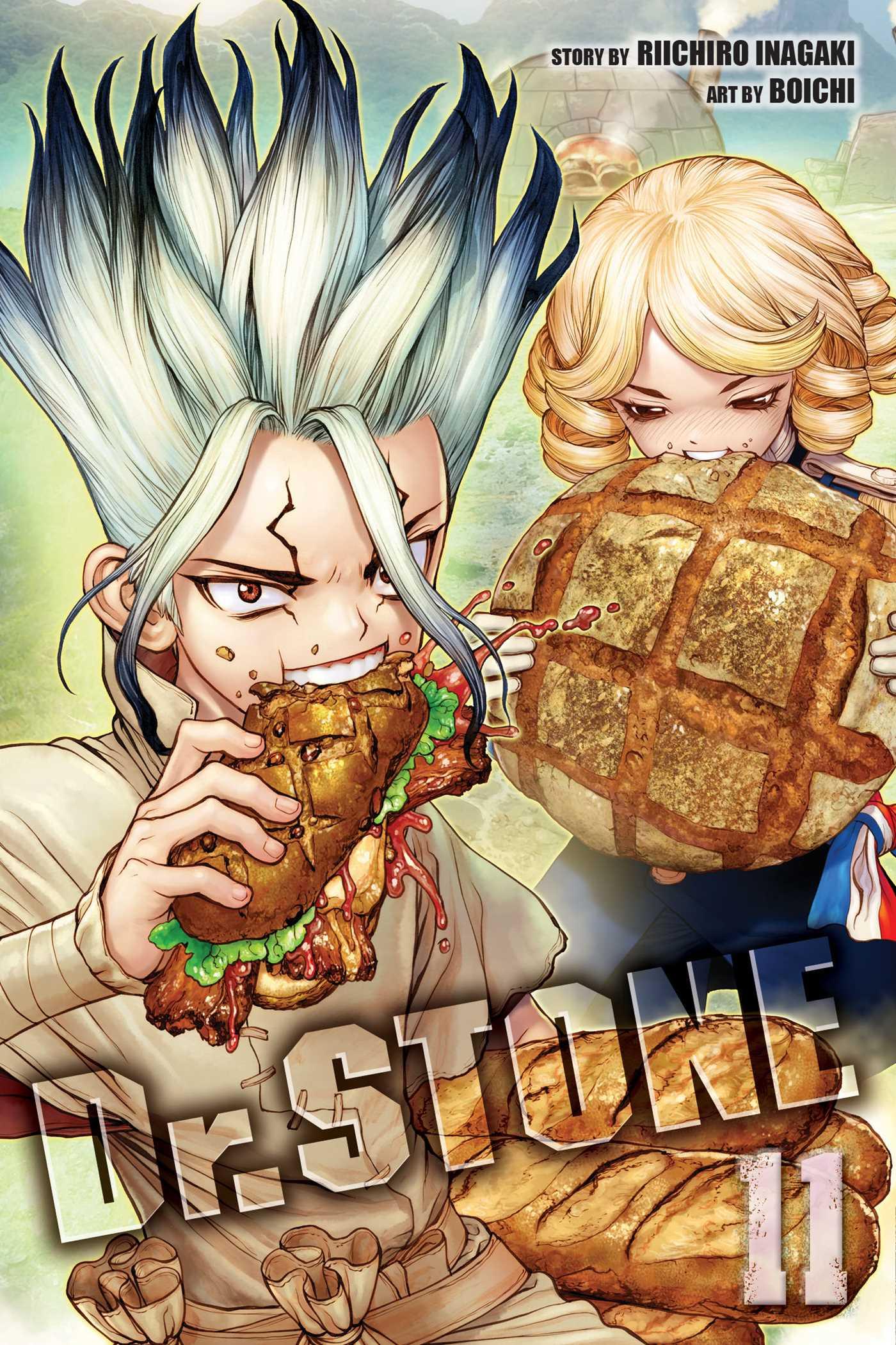 Vorderes Coverbild Dr. Stone, Vol. 11