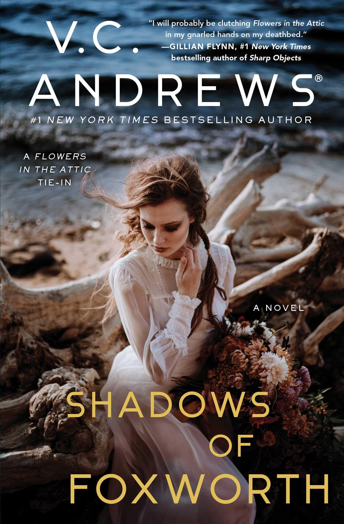 Vorderes Coverbild Shadows of Foxworth