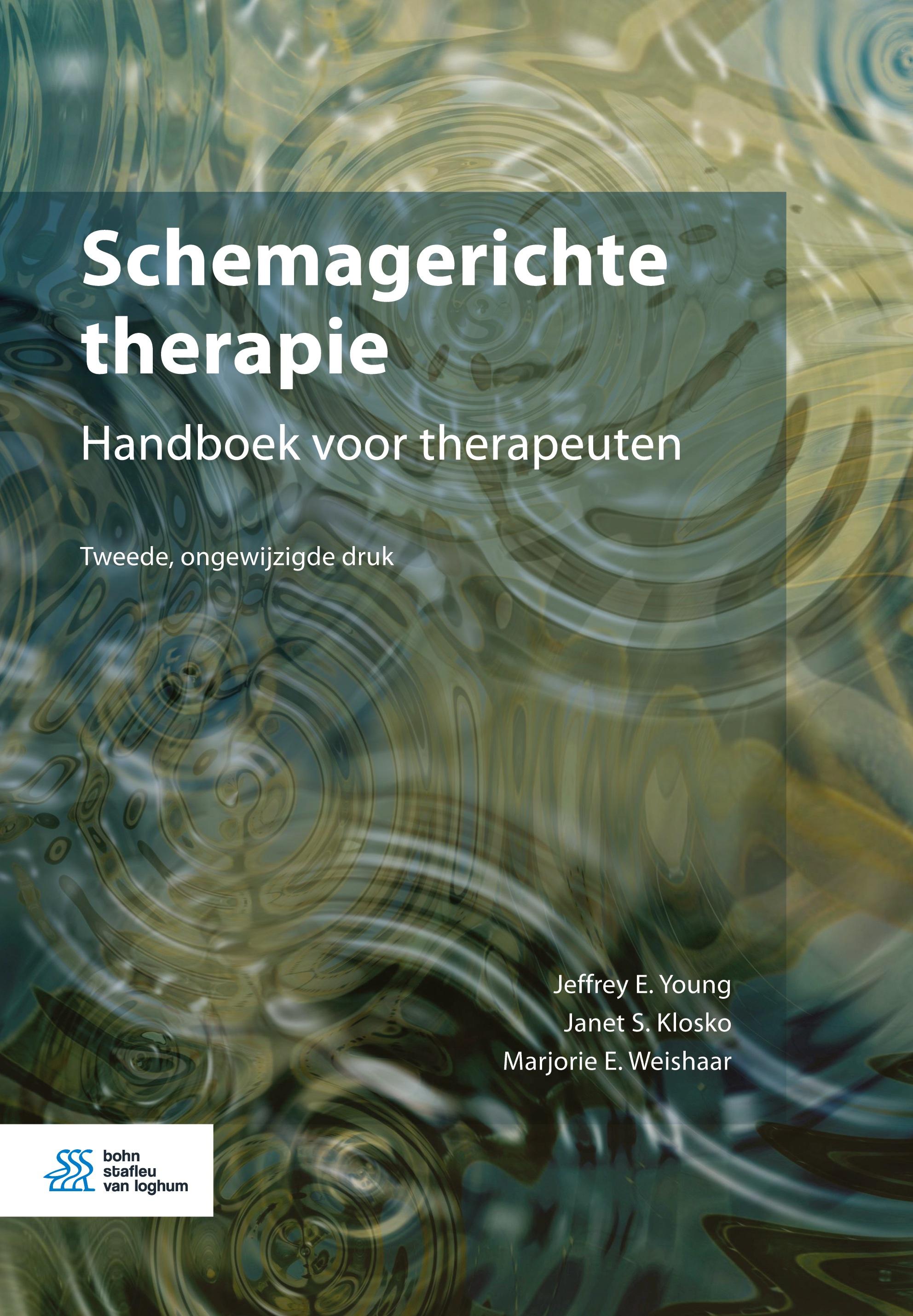 Vorderes Coverbild Schemagerichte therapie