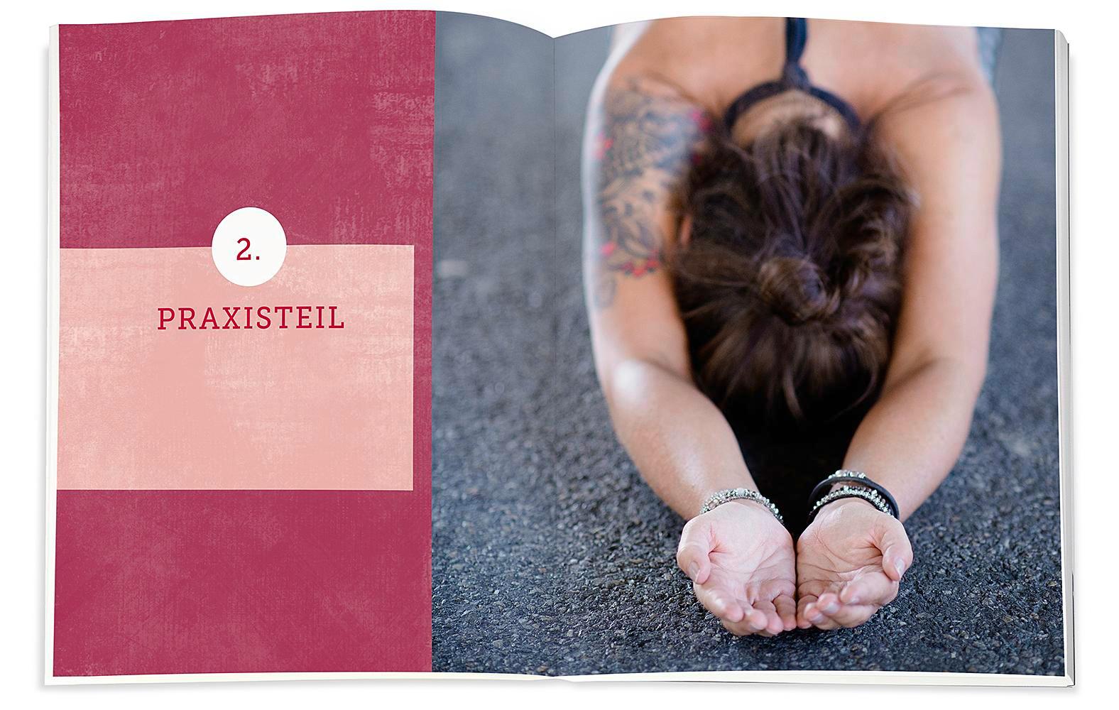 Beispielinhalt (Bild) Das HandHeilbuch