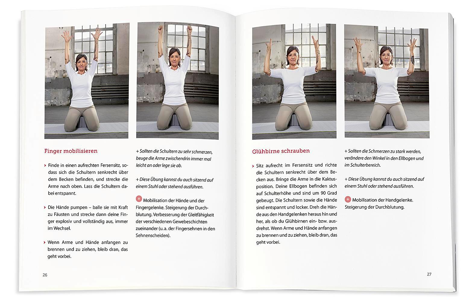 Beispielinhalt (Bild) Das HandHeilbuch