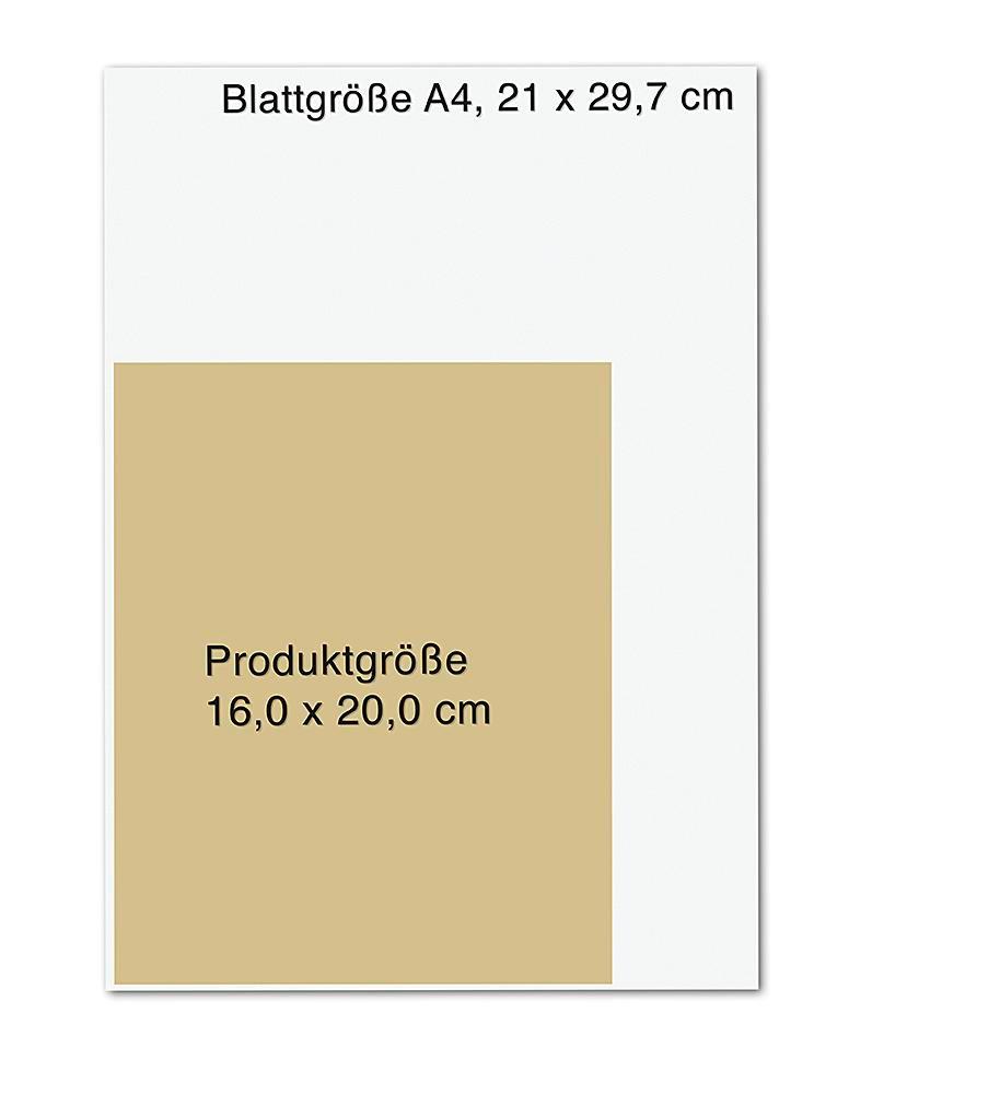 Beispielinhalt (Bild) Das HandHeilbuch