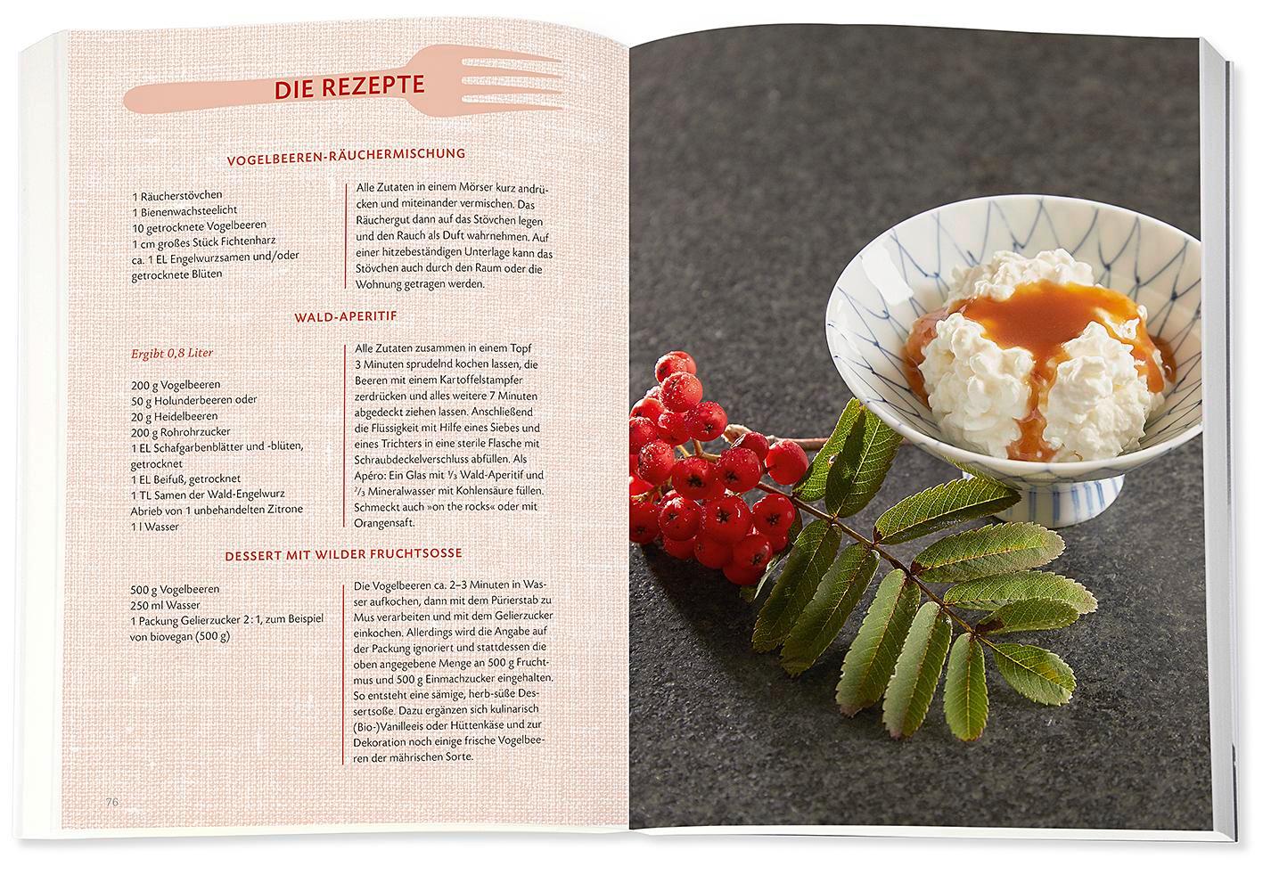 Beispielinhalt (Bild) Die Wildpflanzen-Apotheke