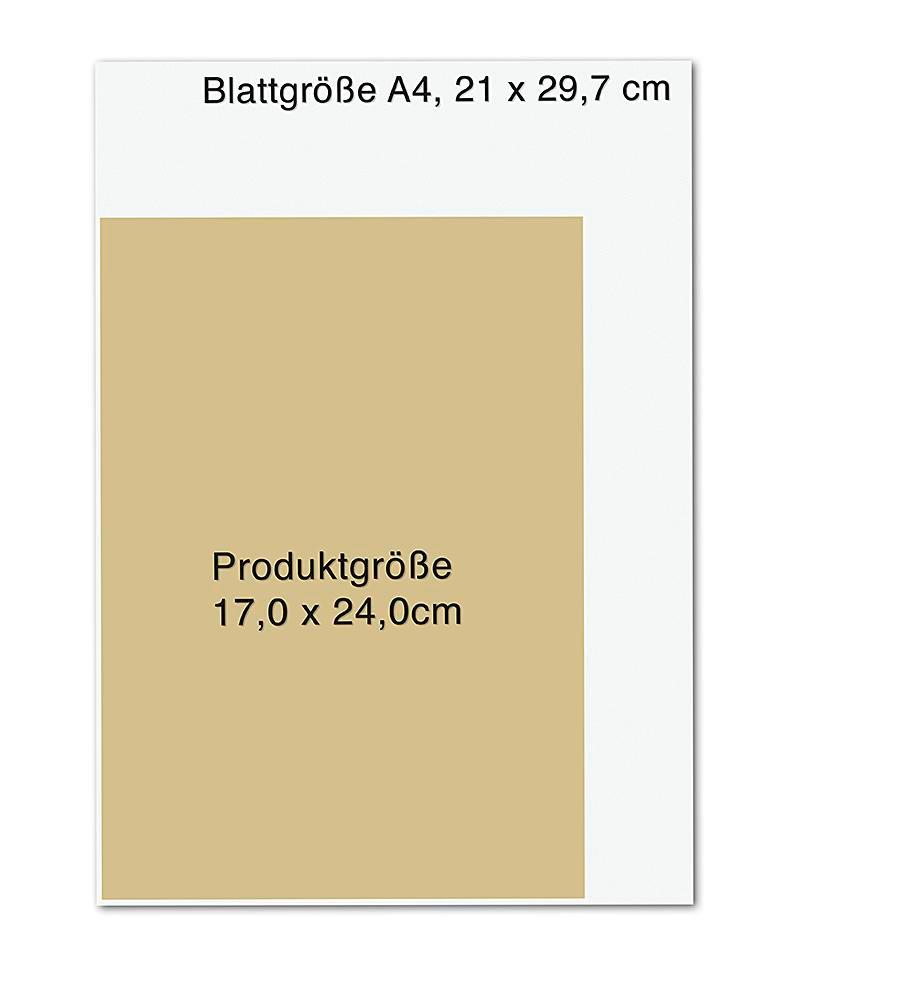 Beispielinhalt (Bild) Die Wildpflanzen-Apotheke