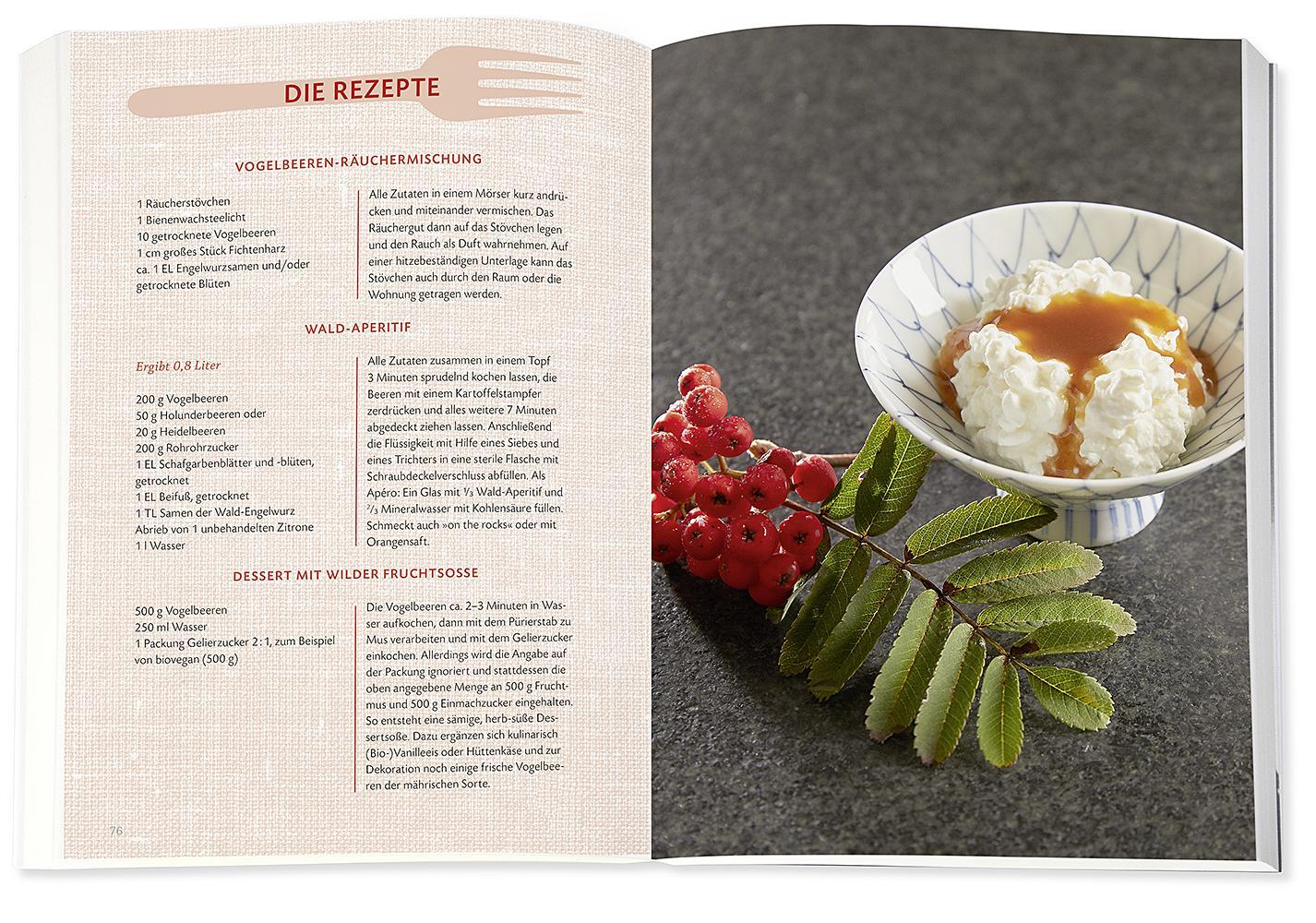 Beispielinhalt (Bild) Die Wildpflanzen-Apotheke