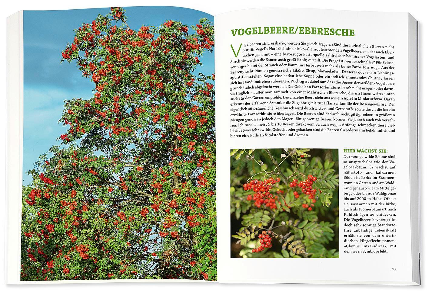 Beispielinhalt (Bild) Die Wildpflanzen-Apotheke