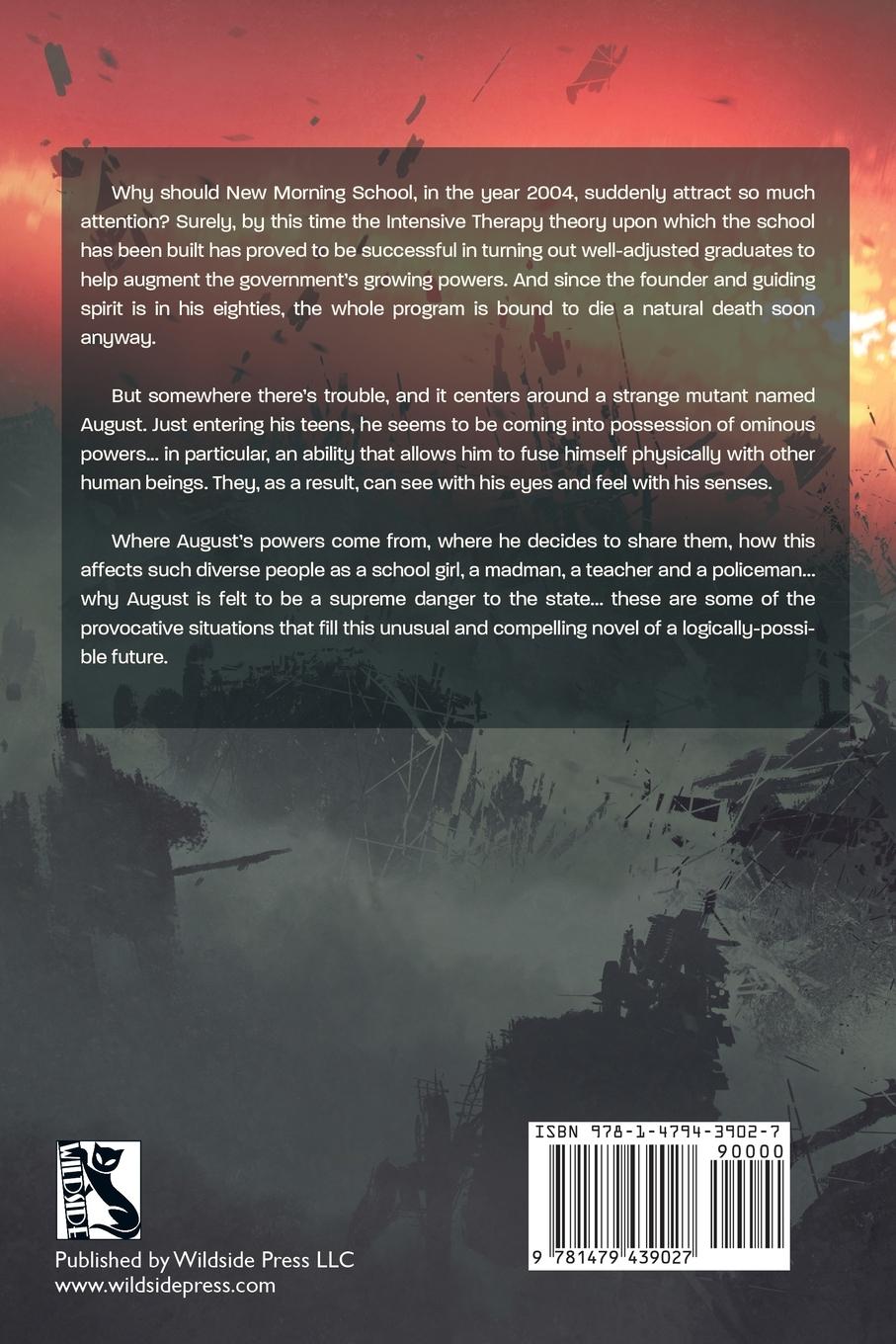 Rückseitencover Beyond the Resurrection