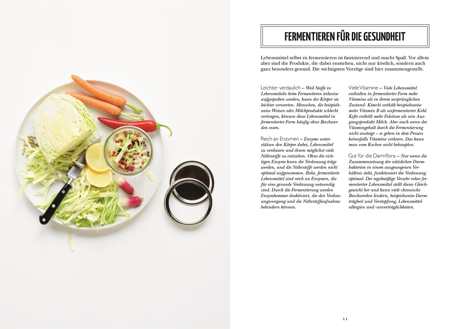 Beispielinhalt (Bild) Fermentieren