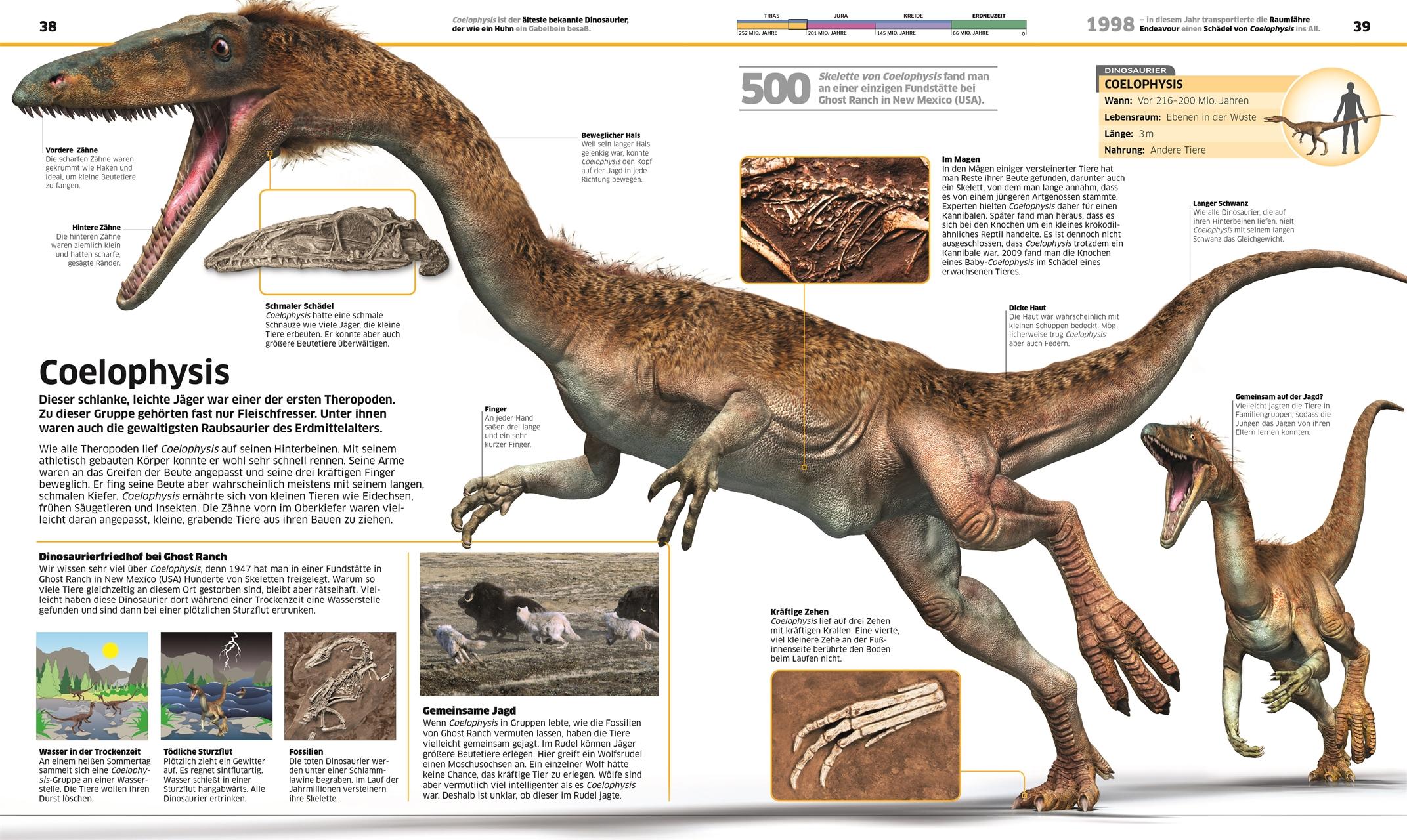 Beispielinhalt (Bild) DK Wissen. Dinosaurier